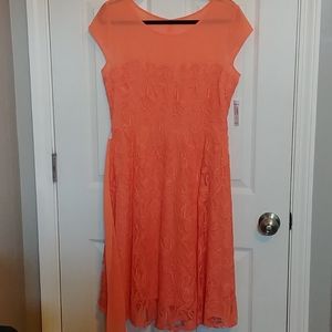 NWT coral lace dress